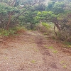 Plants: image 66 Of 208 Thumb